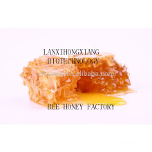 High quality natural linden honey
